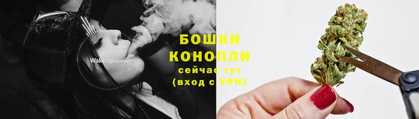 скорость Лиски