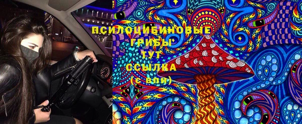 скорость Лиски