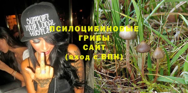 скорость Лиски