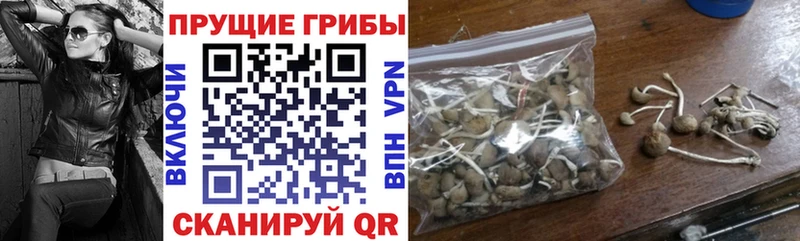 Псилоцибиновые грибы Magic Shrooms  mega сайт  Нижневартовск 