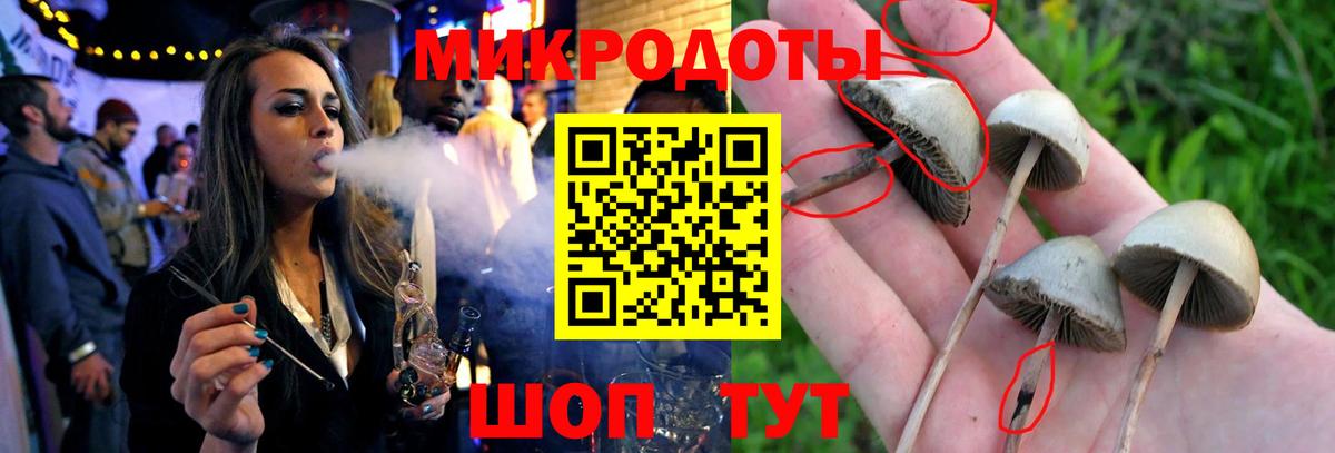 Галлюциногенные грибы Psilocybine cubensis  Вход с VPN  Нижневартовск  Галлюциногенные грибы мицелий 